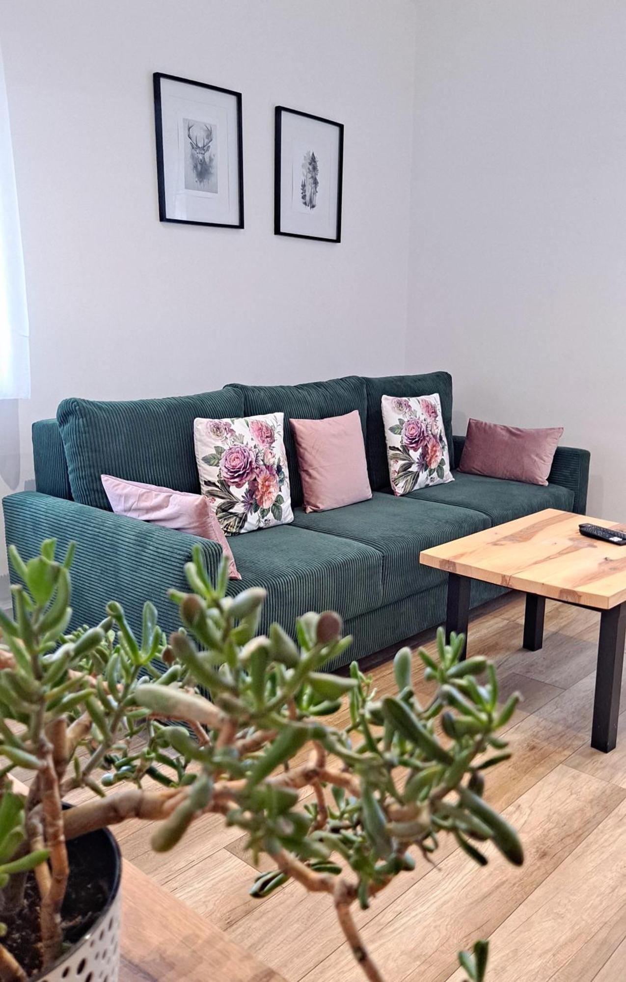 Apartament Dzika Roza Kowary Exterior photo